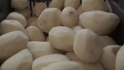 Fresh potatoes in a plastic box Stock Footage 145783710