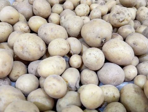 Fresh Potatoes, Ready for the Kitchen Stock Photos