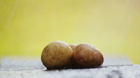 Fresh potatoes on the table under running water. Stock Footage 114444883