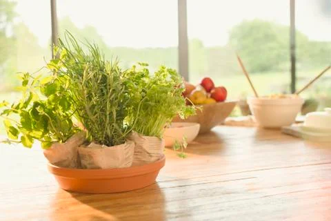 Fresh potted herbs on dining table Stock Photos