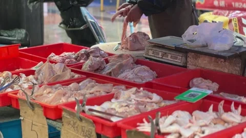 Fresh Poultry Cuts Displayed in Red Trays at Dandong Market Stock Footage 340176008