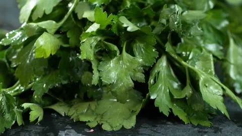 Fresh prasley isolated on black background Macro 4k slow mothion Stock Footage 131728284