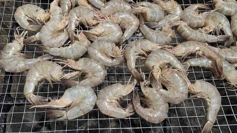Fresh prawn on the grill Stock Photos
