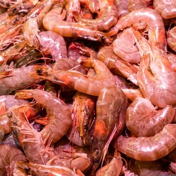 Fresh prawns, close-up Stock Photos