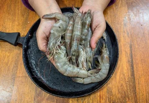 Fresh prawns held in hands ready for cooking preparation Stock Photos
