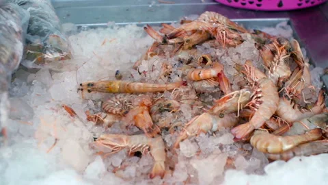 Fresh prawns in ice Stock Footage 85811583