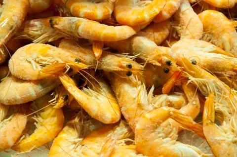 Fresh prawns 스톡 사진