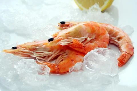 Fresh prawns Stock Photos