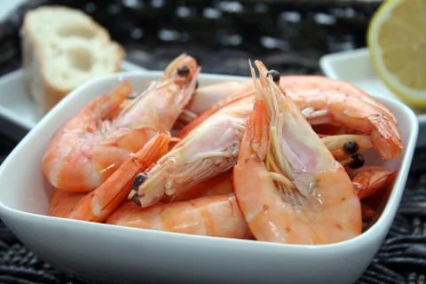 Fresh prawns Stock Photos