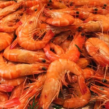 Fresh Prawns Stock Photos