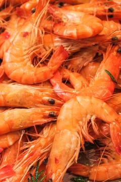 Fresh Prawns Stock Photos