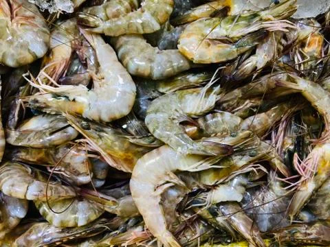 Fresh prawns Stock Photos
