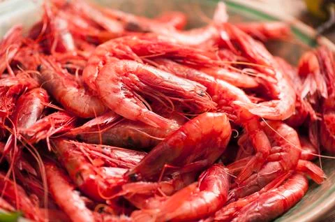 Fresh Prawns ready for cook Stock Photos