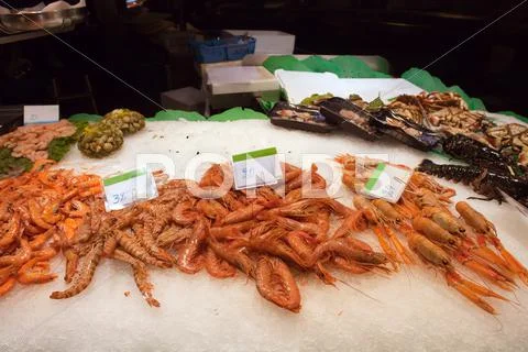 Fresh Prawns On A Seafood Market Stall