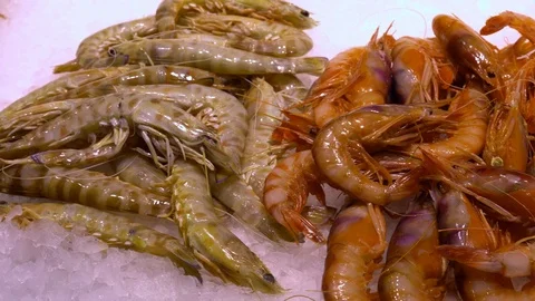 Fresh prawns in the snow. panoramic view of a fresh seafood counter Stock Footage 116505706