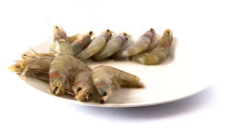 Fresh Prawns Stop Motion Stock Footage 51218665
