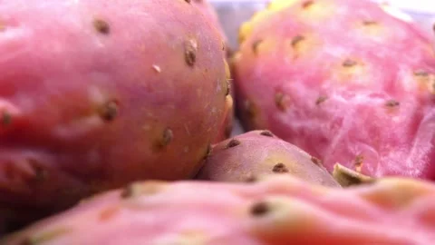 Fresh prickly pear fruit rotating for food presentation Stock Footage 345081247