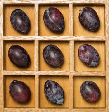 Fresh prune plums in shadow box Stock Photos