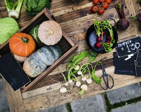 Fresh pumpkin and vegetable on the table Stock Photos