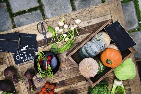Fresh pumpkin and vegetable on the table Stock Photos