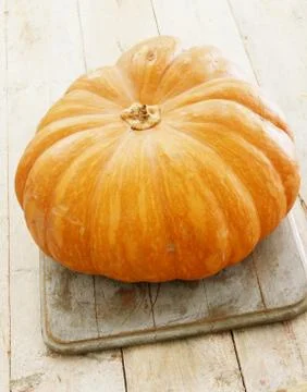 Fresh pumpkin fruit Stock Photos