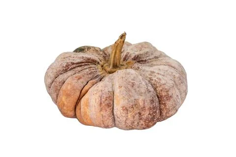 Fresh pumpkin isolated on white background Stock Photos