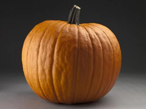 Fresh pumpkin Stock Photos