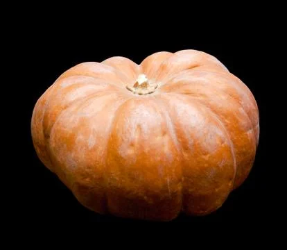 Fresh pumpkin Stock Photos