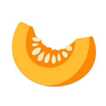 Fresh pumpkin slice with seeds vector illustration Stock Illustration