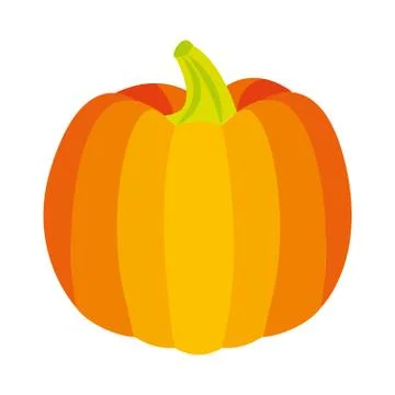 Fresh pumpkin on white background Stock Illustration
