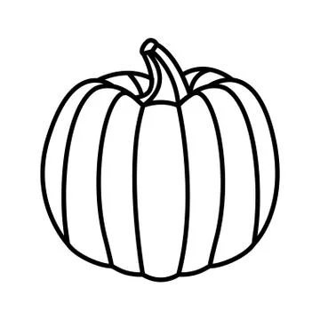 Fresh pumpkin on white background Stock Illustration