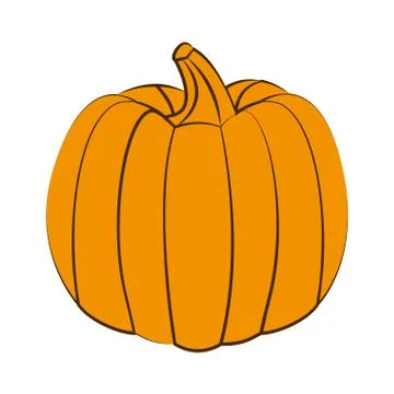 Fresh pumpkin on white background Stock Illustration