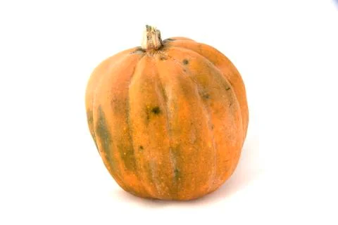 Fresh pumpkin on white background Stock Photos