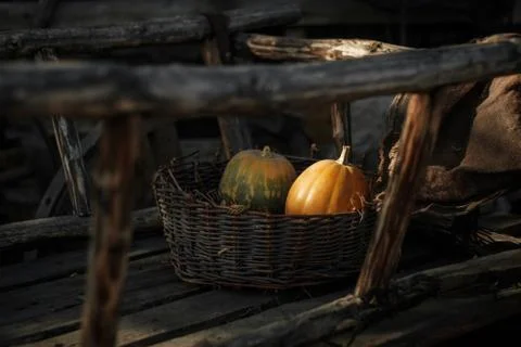 Fresh pumpkins in a basket Stock Photos
