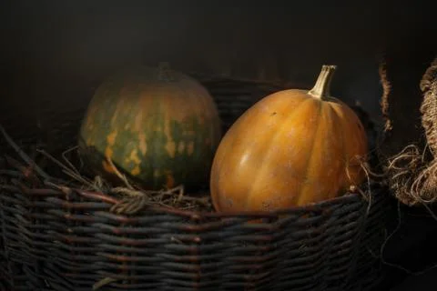 Fresh pumpkins in a basket Stock Photos