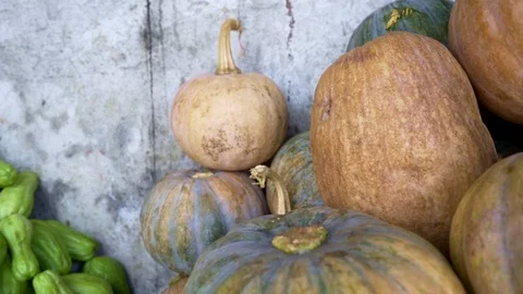 Fresh pumpkins close up moving left to right for fruit concept Stock Footage 119371858