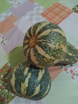 Fresh pumpkins on a kitchen table Stock Photos