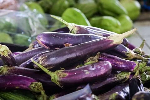 Fresh Purple Long Eggplant Stack on Traditional Market Stall, Raw Organic A.. Stock Photos