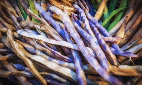 Fresh purple string beans background selective focus Stock-Fotos