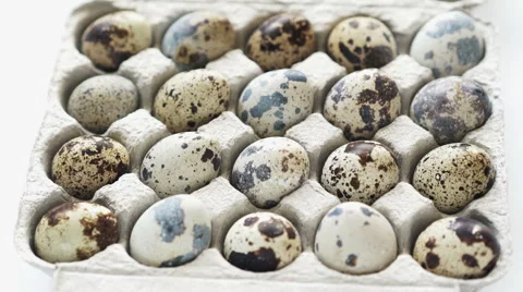 Fresh quail eggs in the box Video stock 67675563