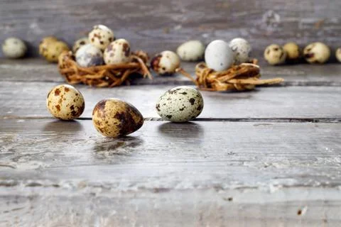 Fresh quail eggs in  rustic barn waiting for  happy Easter Stock Photos