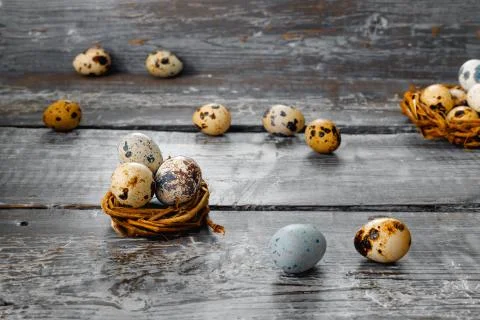 Fresh quail eggs in  rustic barn waiting for  happy Easter Stock Photos