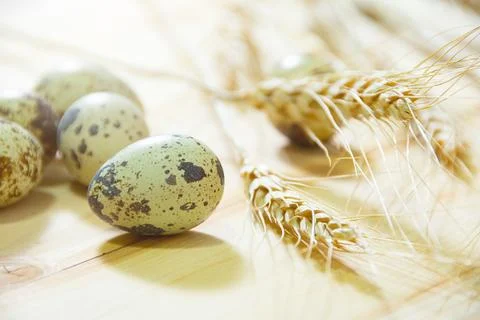 Fresh Quail Eggs, Rustic Style On Wood Background. Stock Photos