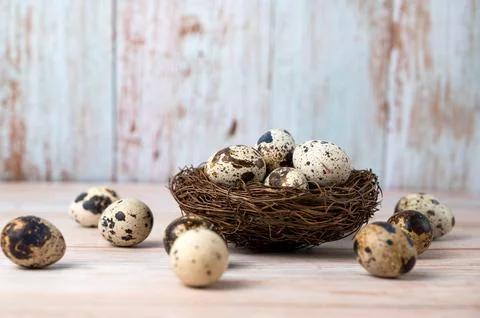 Fresh quail eggs. Rustic style on wood background. Easter banner with place.. Stock Photos