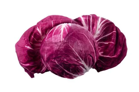 Fresh radicchio isolate Foto stock