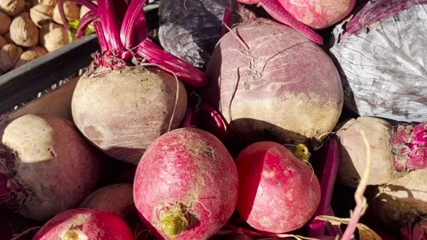 Fresh radish and red cabbage 스톡 동영상 220614007