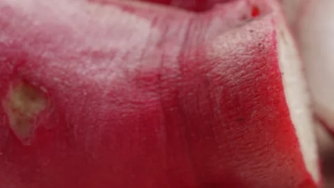 Fresh radish close up rotating camera motion stock footage Видео 336997929