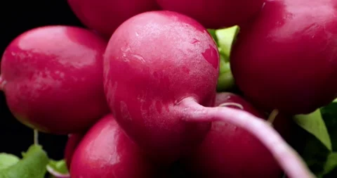 Fresh radish Stock Footage 134421851