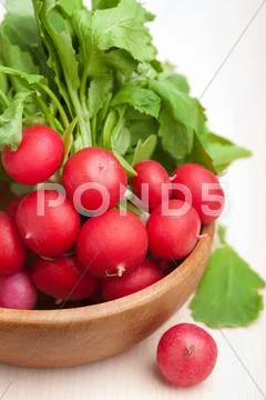 Fresh radish Stock Photos