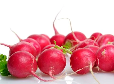 Fresh radish Stock Photos